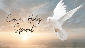 image
                        hopy spirit