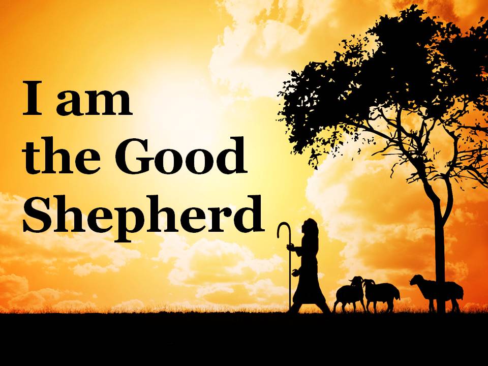 image good shepherd